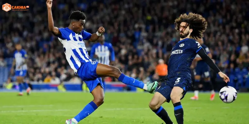 Lịch sử đối đầu Brighton & Hove Albion vs Chelsea qua các trận đấu nổi bật